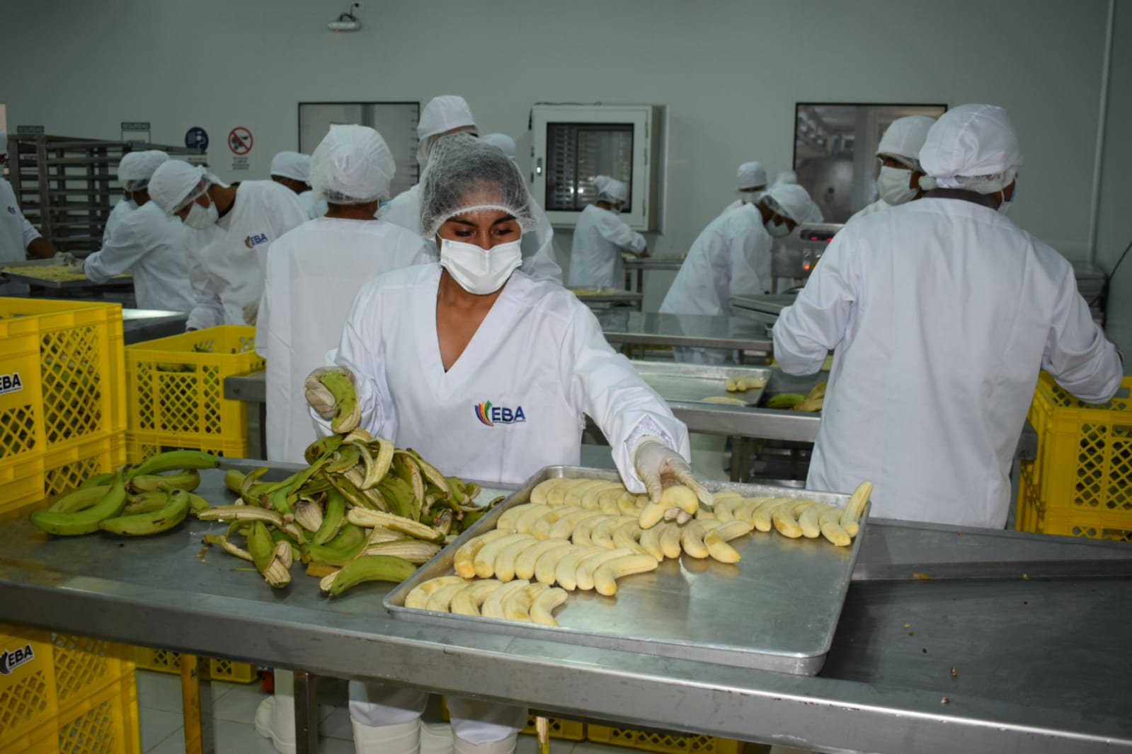 EBA proyecta exportar fruta liofilizada a cuatro países de Norteamérica, Europa y Asia